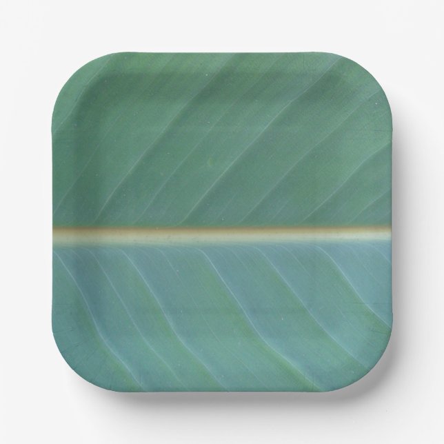Leaf Paper Plates (Front)