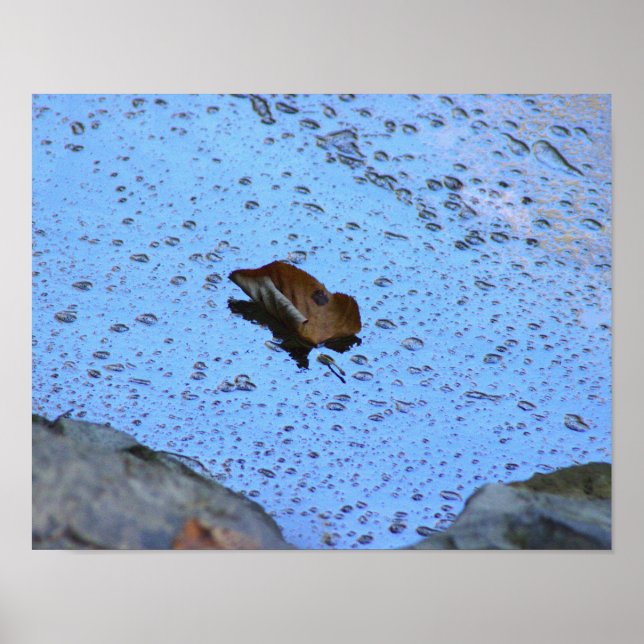 Leaf Photo Poster (Front)