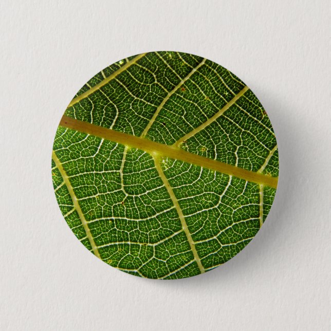 Leaf Pinback Button (Front)