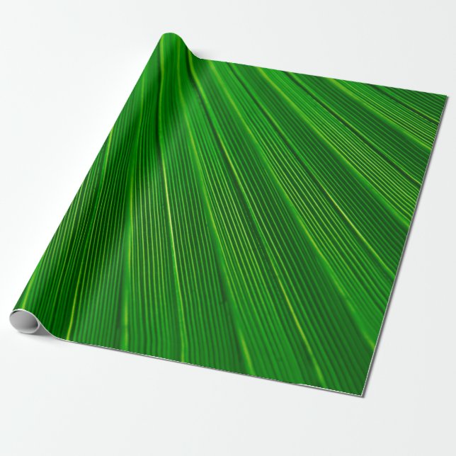 Leaf plant background palm green wrapping paper (Unrolled)