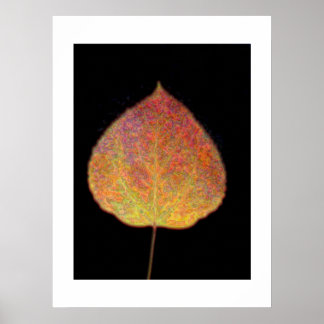 Leaf Poster