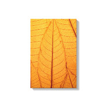 Leaf Print