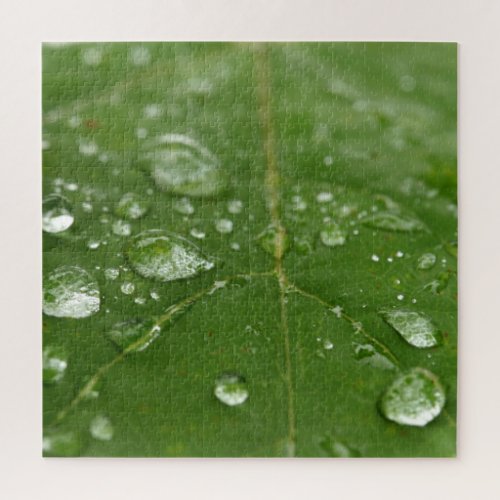 Leaf  Rain Droplets Jigsaw Puzzle