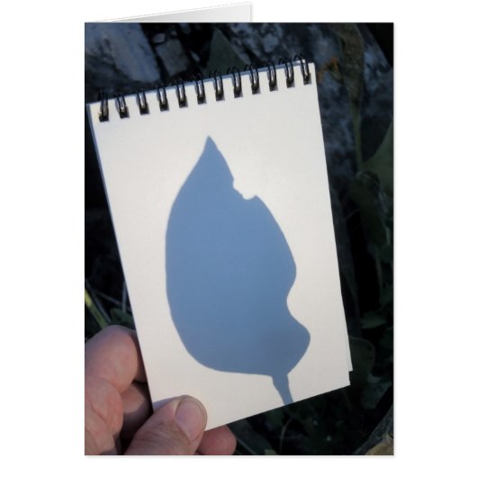 Leaf Shadow  2014 Cards (Front)