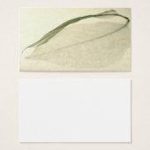 leaf skeleton (Front & Back)
