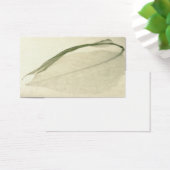 leaf skeleton (Desk)