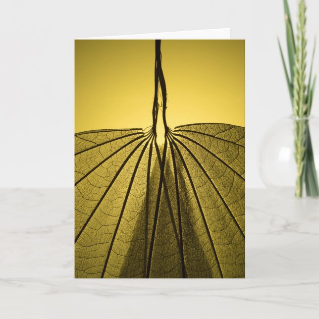 Leaf Skeleton Card (Front)