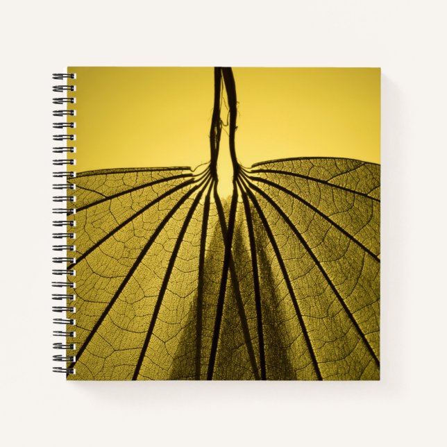 Leaf Skeleton Notebook (Front)