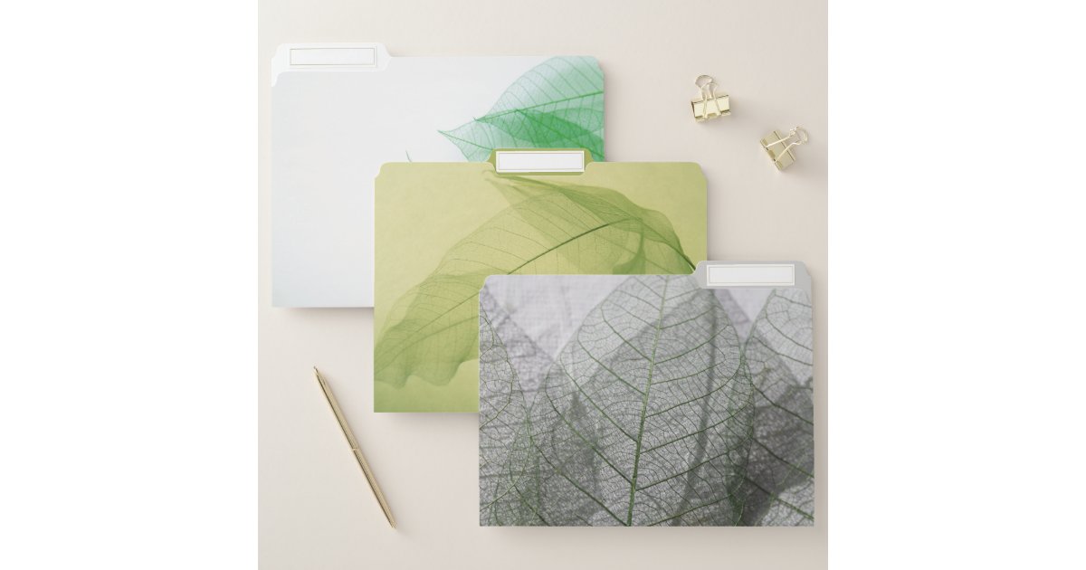 Leaf skeletons file folder | Zazzle