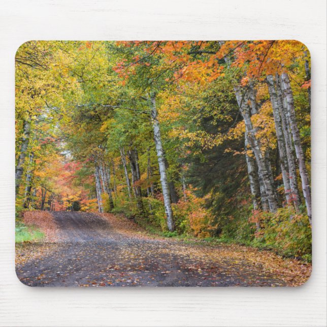 Leaf Strewn Gravel Road With Autumn Color Mouse Pad (Front)
