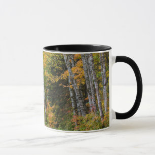 Leaf Strewn Gravel Road With Autumn Color Mug