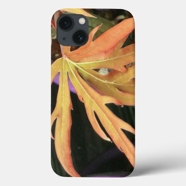 Leaf Study 2 Case-Mate iPhone Case (Back)