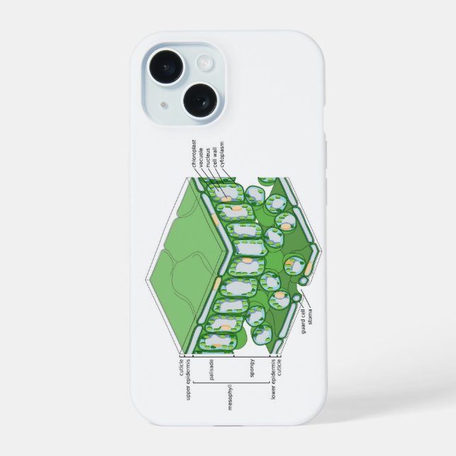 Leaf Tissue Structure Plant Cell Diagram Chart  Iphone Case (Back)