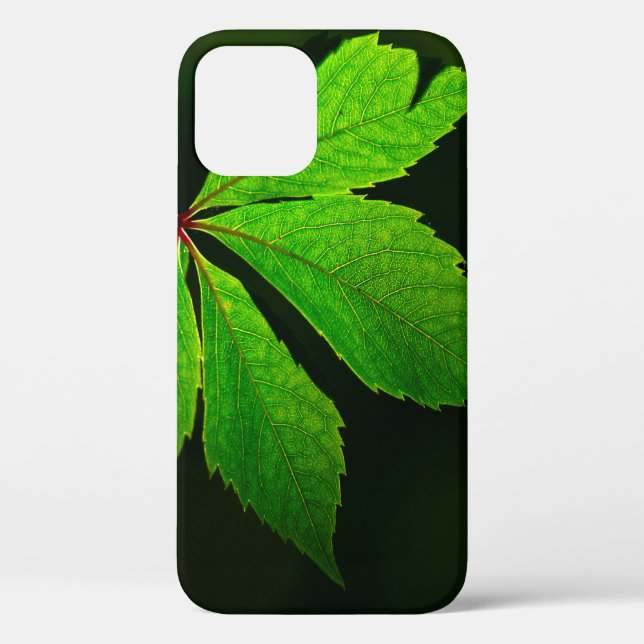 Leaf vein pattern texture plant Case-Mate iPhone case (Back)