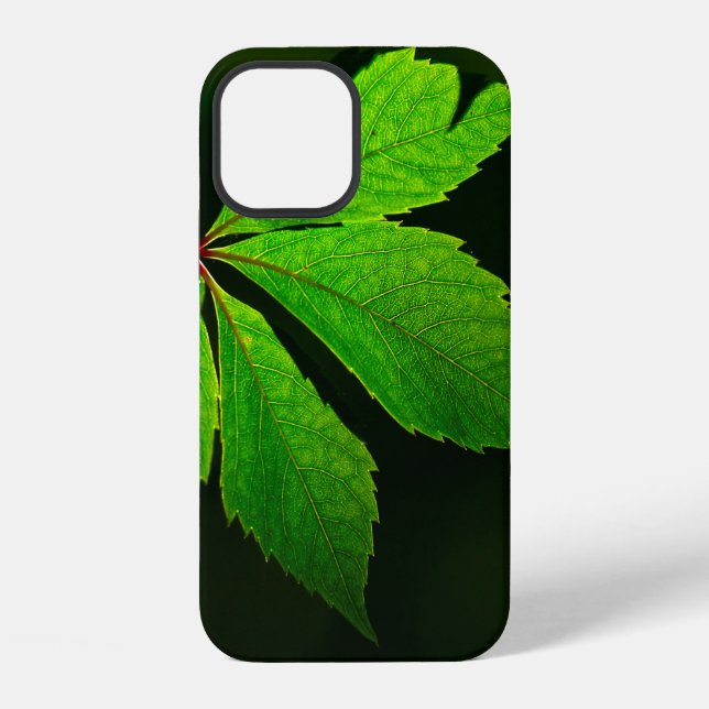 Leaf vein pattern texture plant iphone case (Back)