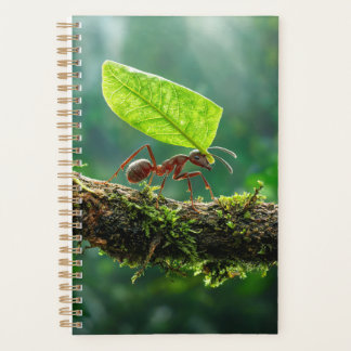 Leafcutter Ant 2027 Planner