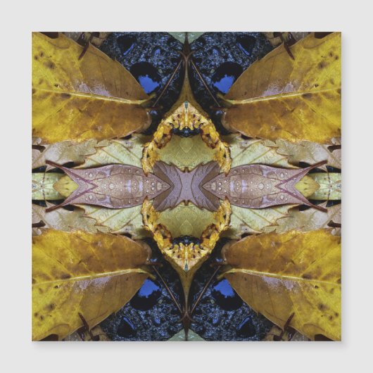 Leafish. Original art made from a photo of leaves (Front)