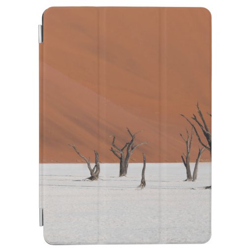LEAFLESS TREE ON WHITE SNOW COVERED GROUND DURING  iPad AIR COVER