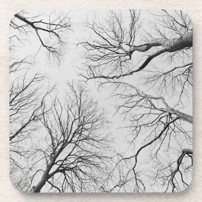 Leafless Trees in Thiepval Wood Beverage Coaster (Front)