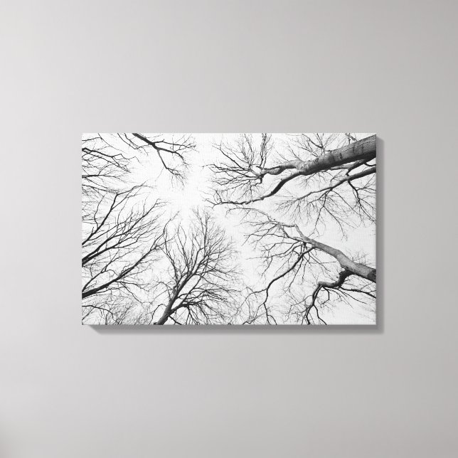 Leafless Trees in Thiepval Wood Canvas Print (Front)
