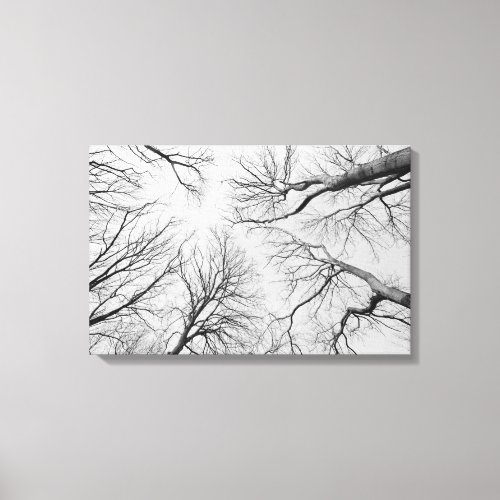 Leafless Trees in Thiepval Wood Canvas Print