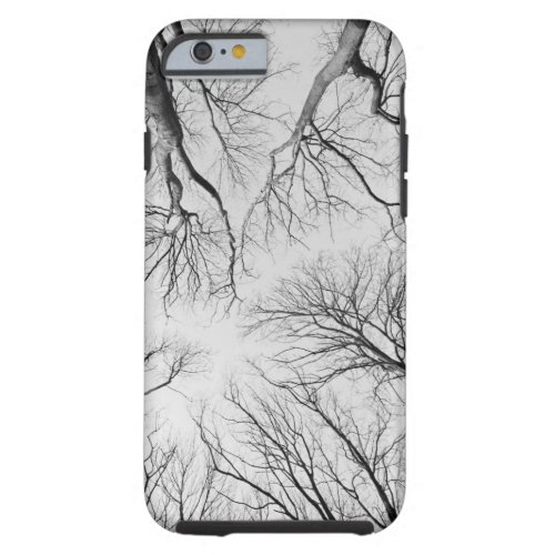 Leafless Trees in Thiepval Wood Tough iPhone 6 Case