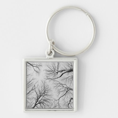 Leafless Trees in Thiepval Wood Keychain