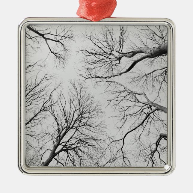 Leafless Trees in Thiepval Wood Metal Ornament (Front)