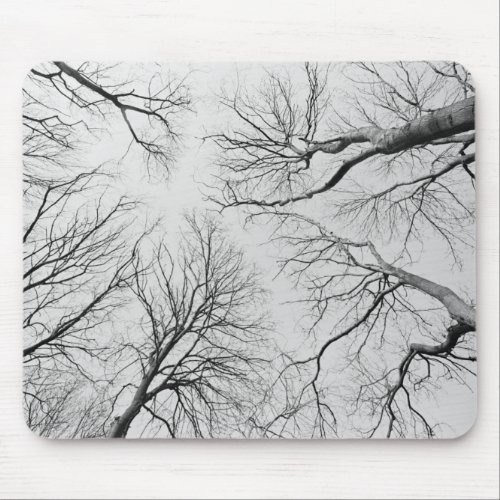Leafless Trees in Thiepval Wood Mouse Pad