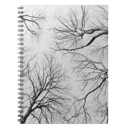 Leafless Trees in Thiepval Wood Notebook