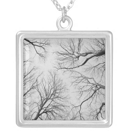 Leafless Trees in Thiepval Wood Silver Plated Necklace