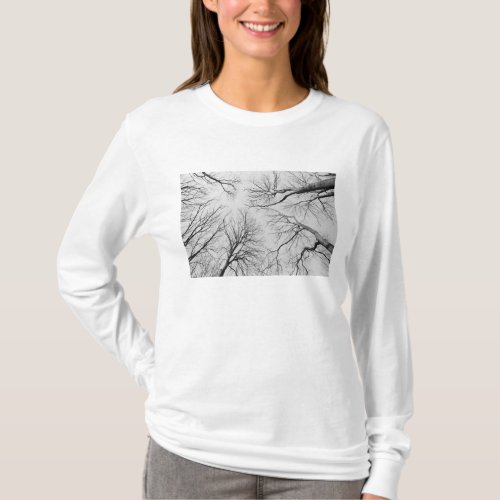 Leafless Trees in Thiepval Wood T_Shirt