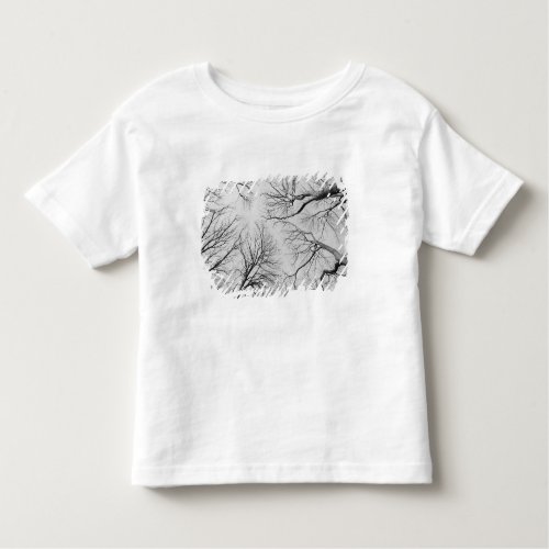 Leafless Trees in Thiepval Wood Toddler T_shirt