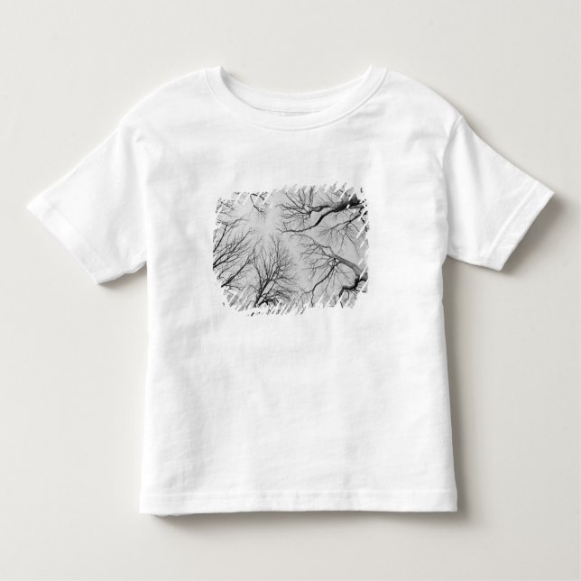 Leafless Trees in Thiepval Wood Toddler T-shirt (Front)