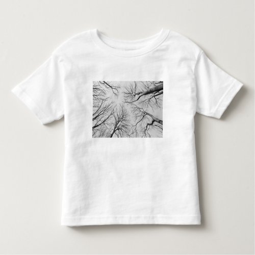 Leafless Trees in Thiepval Wood Toddler T_shirt