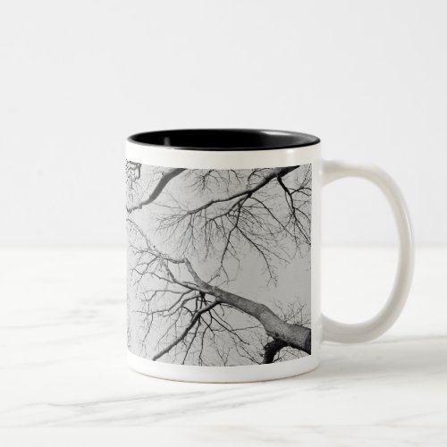 Leafless Trees in Thiepval Wood Two_Tone Coffee Mug