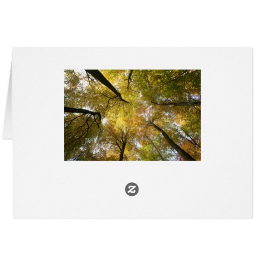 Leafy Canopy (Back Horizontal)