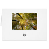 Leafy Canopy Cards (Back Horizontal)
