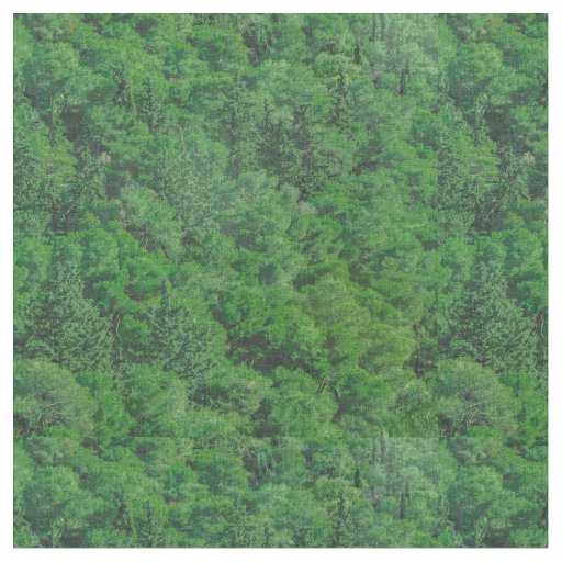Leafy Forest Landscape Photo Fabric