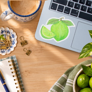 Leafy Green Lime and Wedge Hand Drawn Fruit Sticker