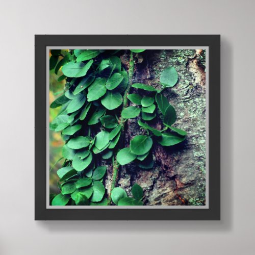 Leafy Green Vine Growing On Tree Trunk Framed Framed Art