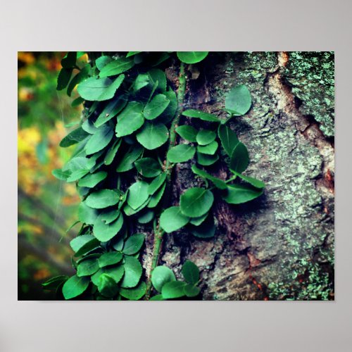 Leafy Green Vine Growing On Tree Trunk Poster