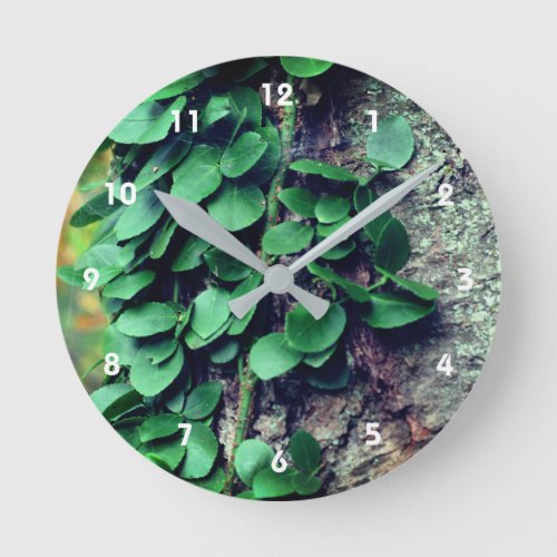 Leafy Green Vine Growing On Tree Trunk  Round Clock