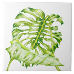 Leafy Sculptures on a Ceramic Tile (1)