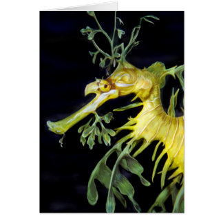 Leafy Sea Dragon Cards