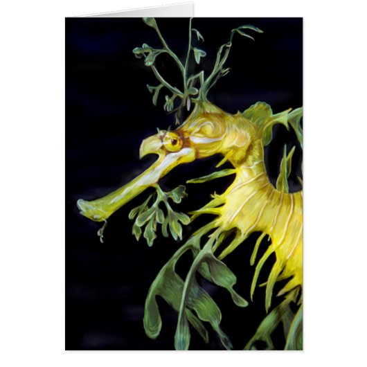 Leafy Sea Dragon Cards (Front)