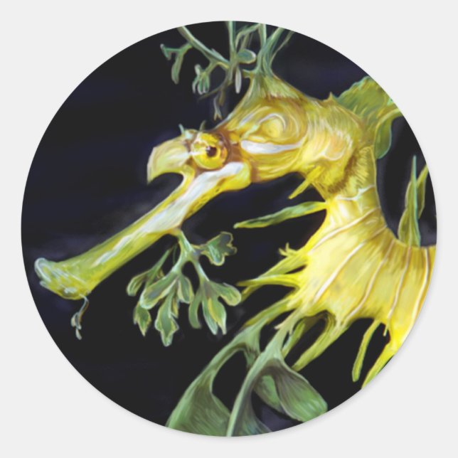 Leafy Sea Dragon Classic Round Sticker (Front)