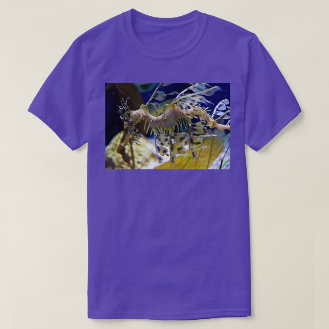 Leafy Sea Dragon Classic TShirt (Design Front)