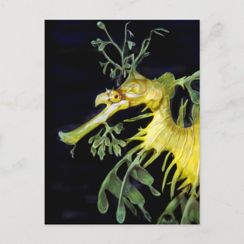 Leafy Sea Dragon Postcard