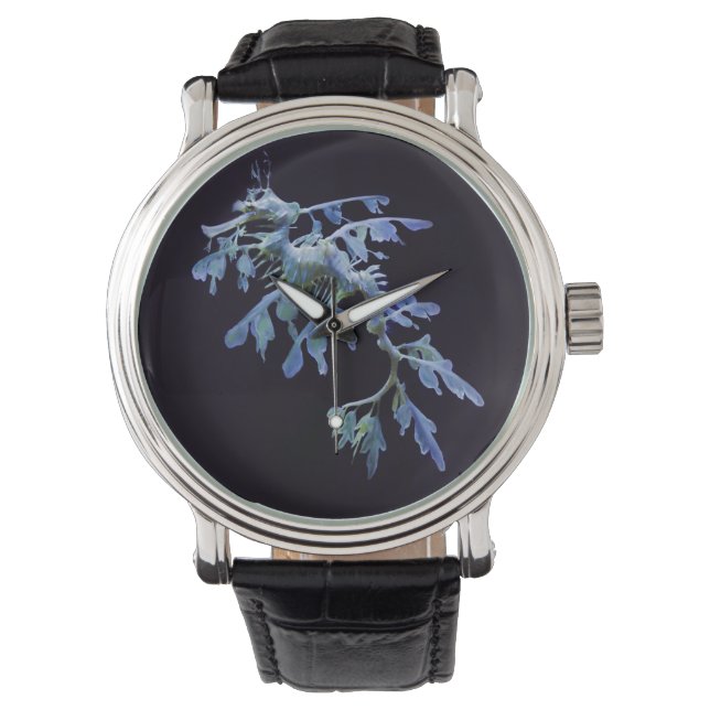 Leafy Sea Dragon Watch (Front)